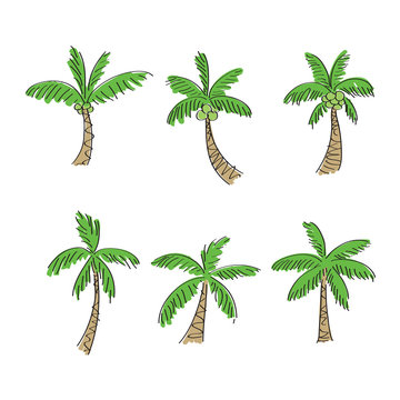 coconut tree cartoon style, vector