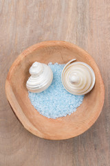 A nice Photographed composition of sea shells