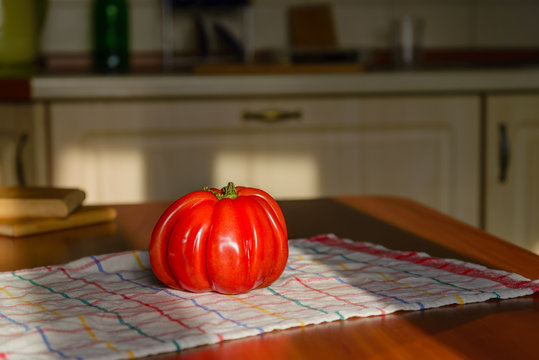 Beef Heart tomato, Olena Ukraina, on the kitchen table illuminated by the morning sunlight	