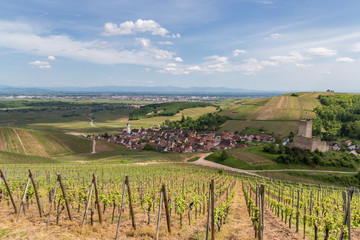 Fototapeta na wymiar village d'Alsace