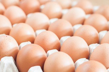 Closed up fresh chicken eggs