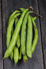 Farm fresh raw braod bean