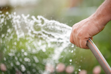 Holding water rubber hose tube. Watering
