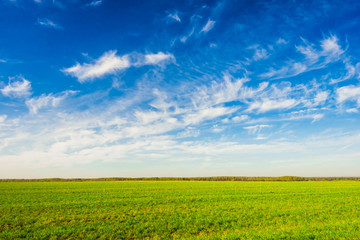 Fototapeta na wymiar prairie landscape and sky