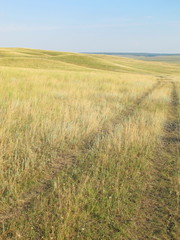 Dirt road in the burnt feather grass steppe against a blue sky