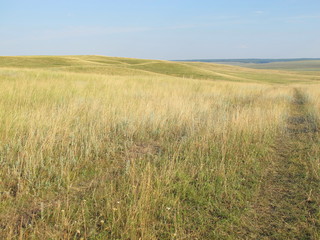 Dirt road in the burnt feather grass steppe against a blue sky