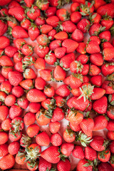 Fresh strawberries