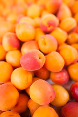 Apricots