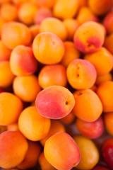 Apricots