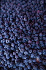 Blueberries