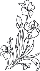 Flower sketch  set