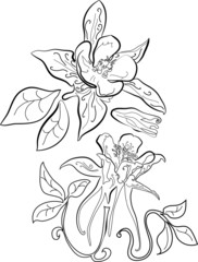 Flower sketch set