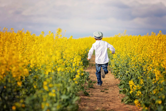 Adorable little boy, running in yellow oilseed rape field