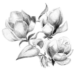 Fototapeta premium Flower sketch bouquet