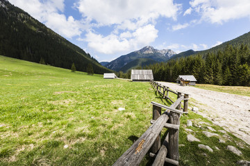 Chocholowska valley, Tatra Mountains, Poland