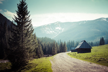 Chocholowska valley, Tatra Mountains, Poland