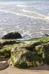 De la plage à l'océan