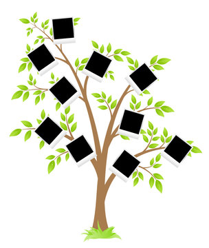Famity tree