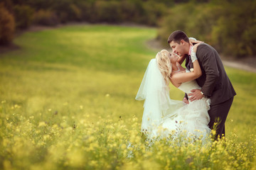 Bride and groom at wedding day kissing at park