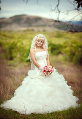 Fototapeta na wymiar Beautiful bride outdoor wedding day