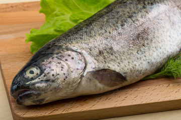 Raw fresh trout