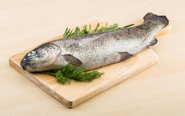 Raw fresh trout