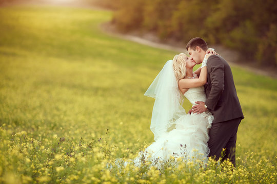 Kissing Bride Groom Wedding Day Outdoor