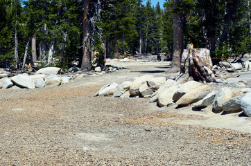 Fototapeta premium Rocks bed near by lake Tahoe, California