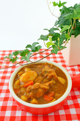 美味しそうなカレー