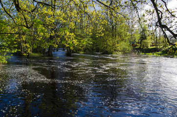 Springtime at the river