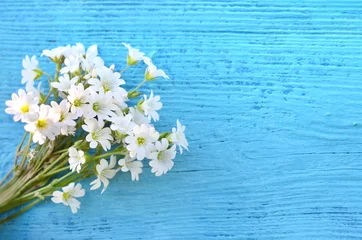 Photo sur Plexiglas Marguerites Fleurs blanches.