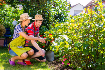 Paar im Garten pflanzt Blumen