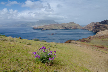 Madeira