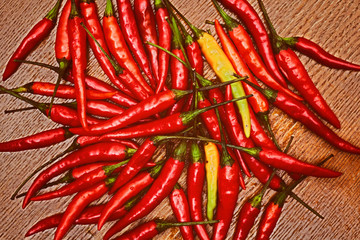 Red Chili Peppers in vintage style
