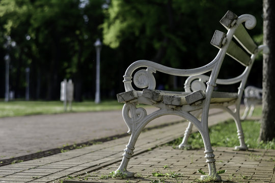 White iron bench photographed in a park
