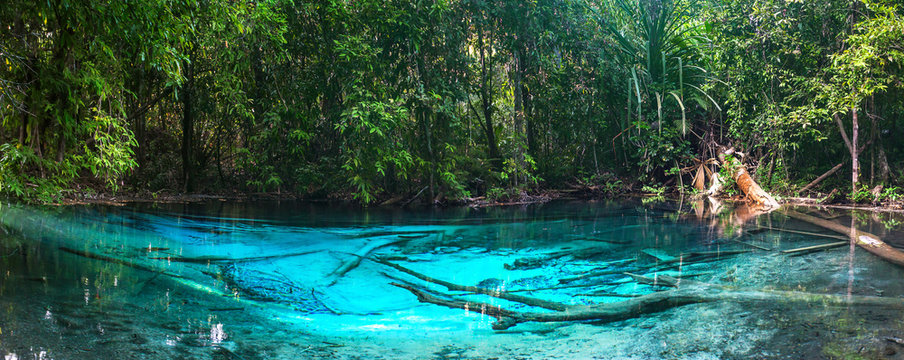 Emerald blue Pool. Krabi, Thailand.