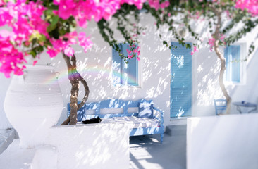 santorini bouganville
