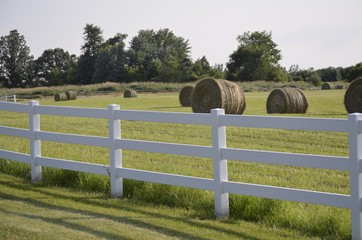 White country fence boarding a pasture