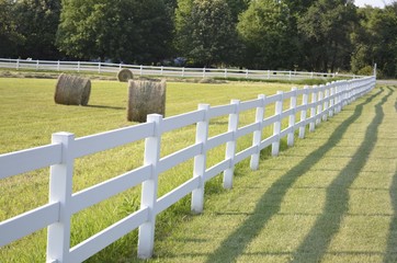 White country fence boarding a pasture