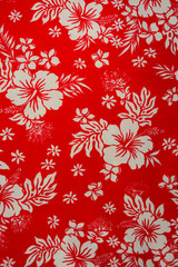 Colorful Traditional, Oriental Floral Pattern
