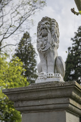 Fototapeta na wymiar Löwenstatue aus Stein