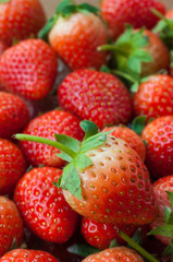 Fresh ripe perfect strawberry - Food Frame Background