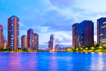 Fototapeta premium Evening View of Office Buildings and Highrise Mansion in Tokyo