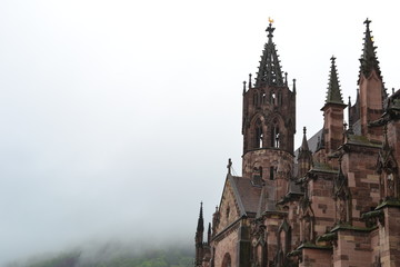 Freiburger Münster