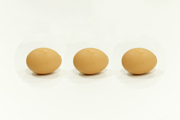 Egg on white background