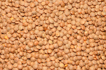 Dried brown Lentils