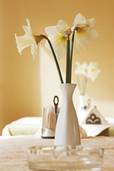 vase with three narcissi on table in cafe