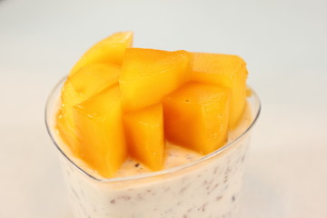 mango Fruit panna cotta