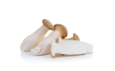  mushroom  eryngii on white background