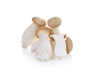 Fototapeta premium mushroom eryngii on white background